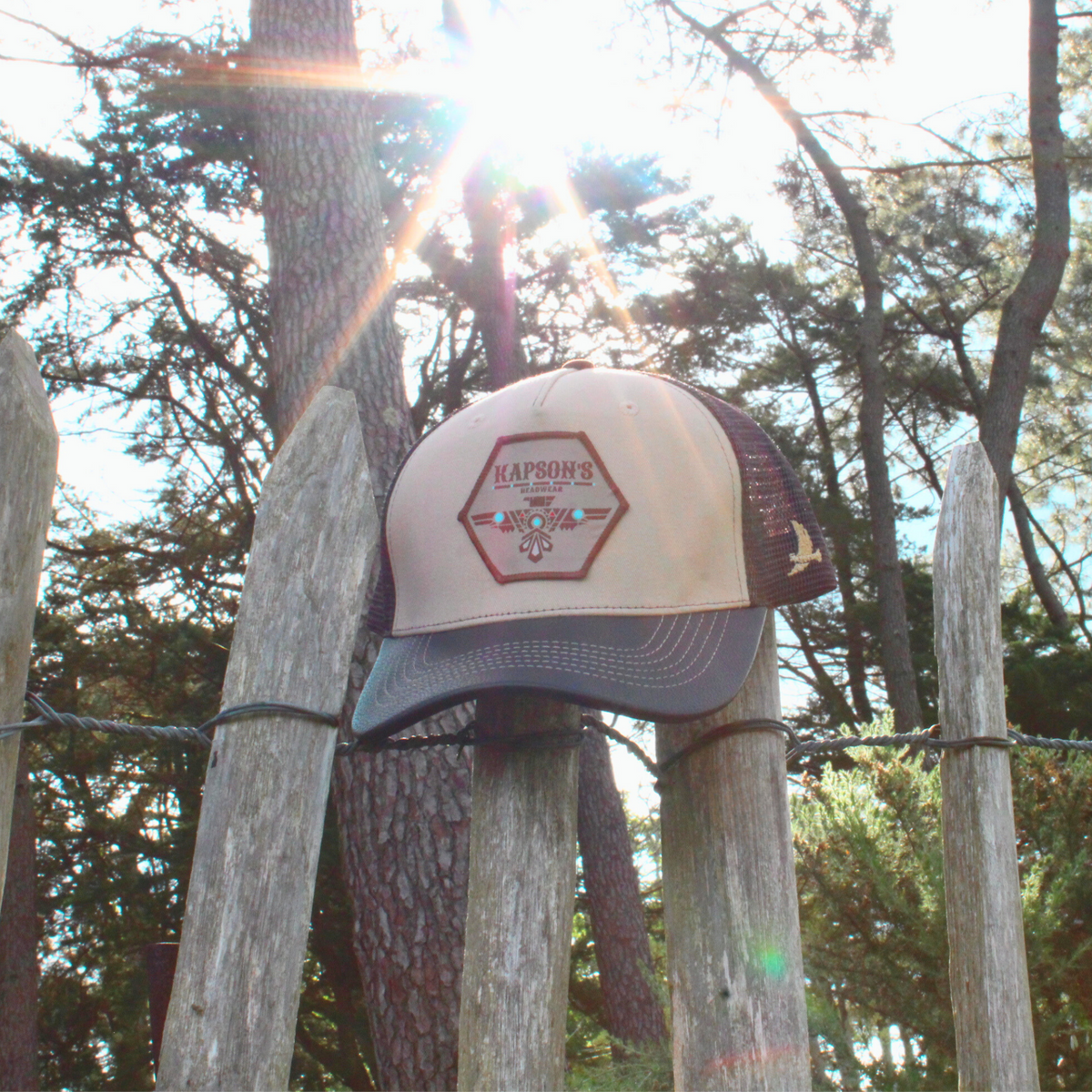 CASQUETTE "SIGNATURE" MARRON / BEIGE  BLACKHAWK
